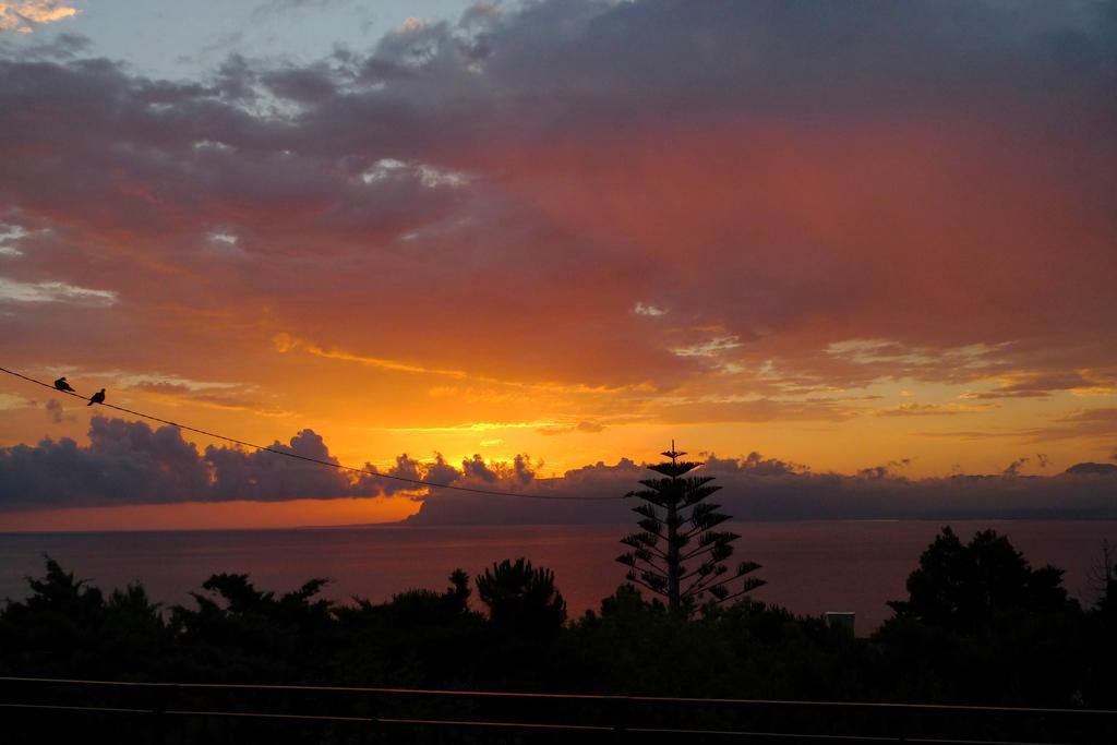 Casa Vacanze La Terrazza Sul Golfo 卡斯泰拉马莱 外观 照片